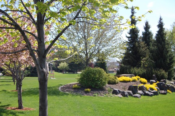 Lunchtime between appointments ...