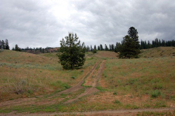 The road down was steep and rutted ...