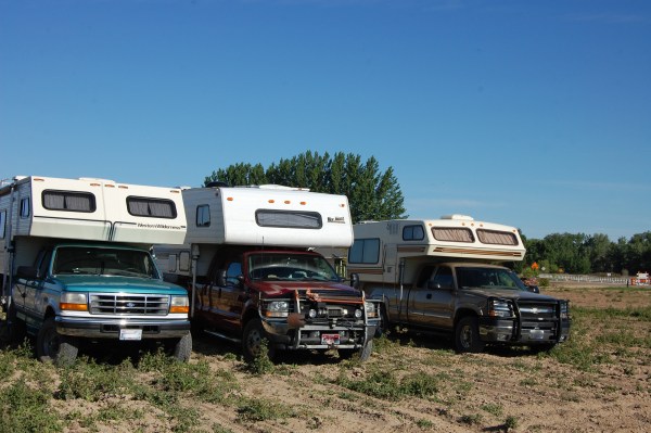 In the wheat fields ... 