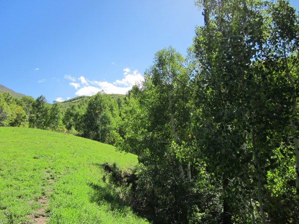 I definitely could live here!