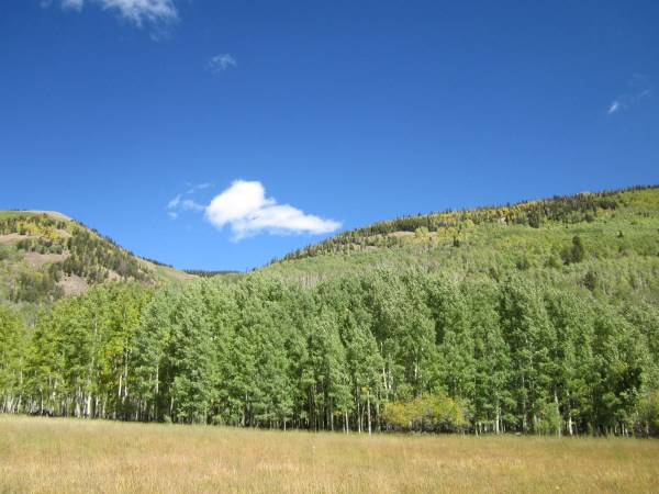 ... and just lay in the sun.