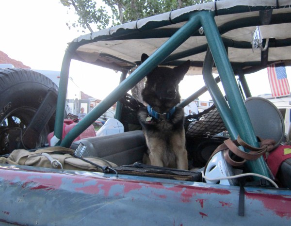 Klaus is ALWAYS ready to 4x4