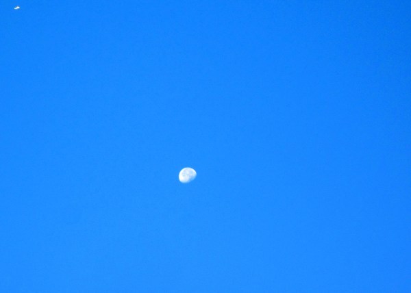 See the jet up in the corner?