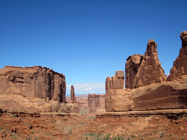 Park Avenue ... looking like buildings on a big city street.