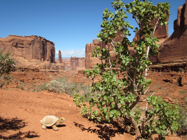 I'll be your guide today ...