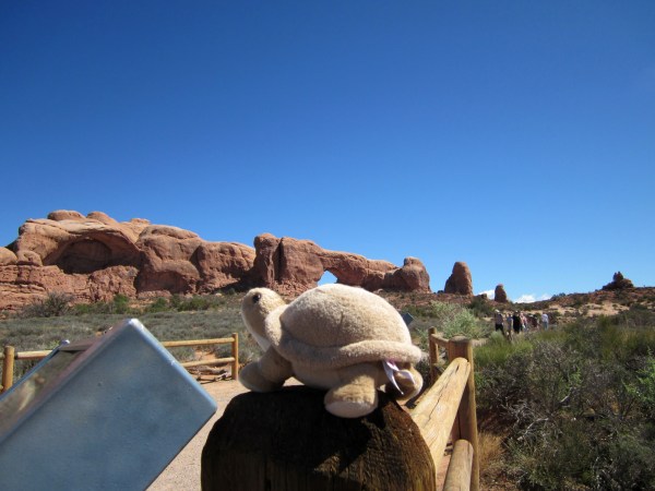 Ooooo ... lets walk ...