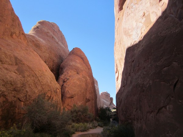 ... into the cool draws ...