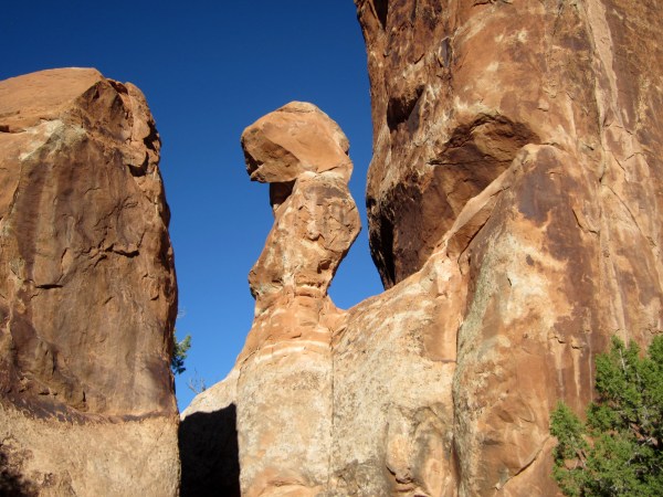 ... past the sentinels ...