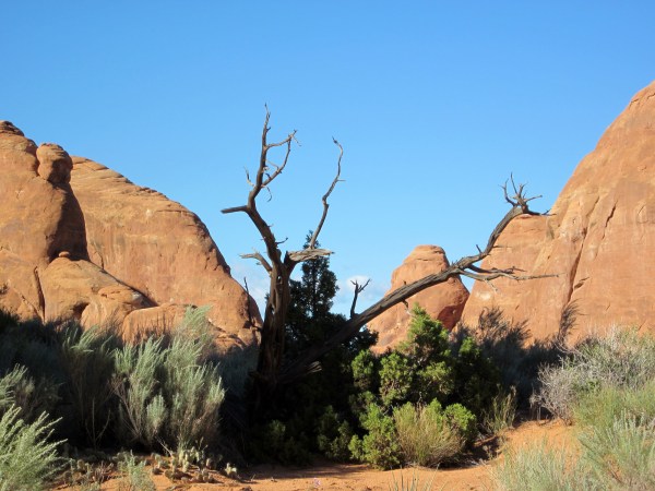 ... where we can wait for our compadres ...