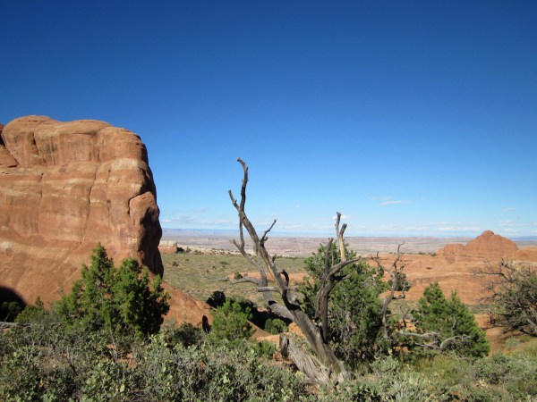 ... and watch for the approaching posse.