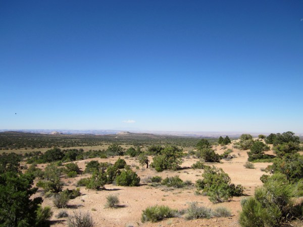 This is the solitary view.