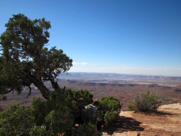 ... and few places to hide from the sun.