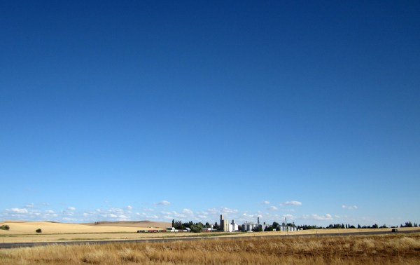 Looks like it's time to escape ...