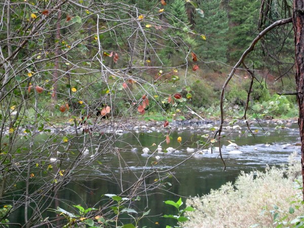 As usual, the typical fantastic view from home ...