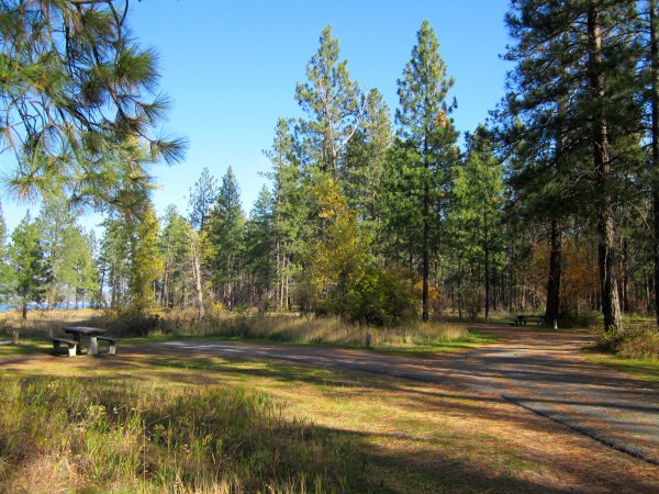 Nobody to the left ...