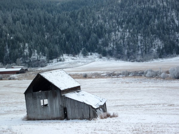 Pretty in any season.