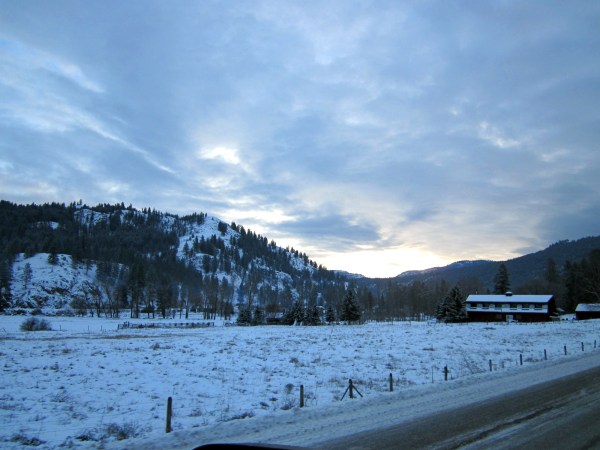 ... watching the day start for the local folk.