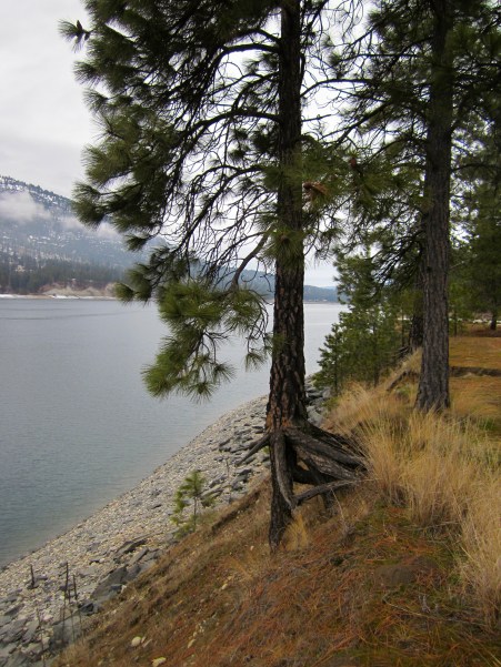 ... and places to contemplate Gods' creation ...