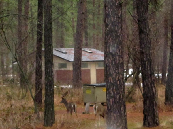 Looking for something good.