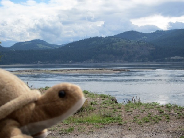 The original fort at Kettle Falls is showing it's foundations.