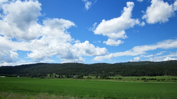 Continuing south, the land greens ...