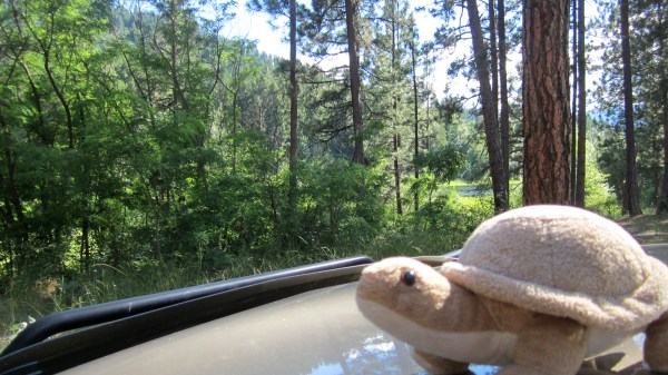 Ya know, we're instructed to rest once a week ...