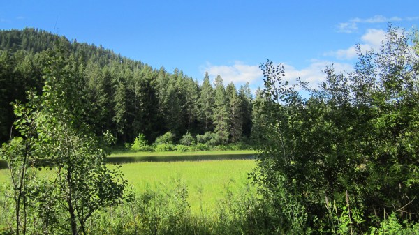 ... peaceful places to walk ...