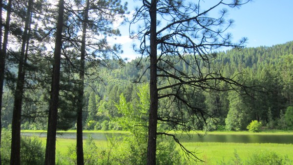 ... gaze at the beauty in the cool of the evening ...