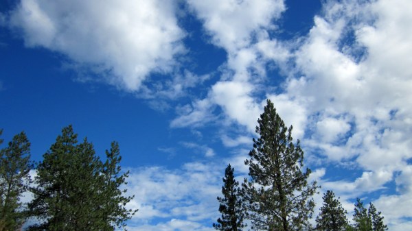 ... and take time to look up ... and to give thanks!