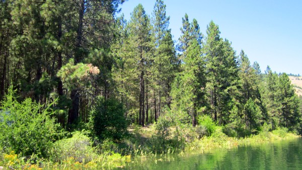 Yes ... you westerners have all seen this before ...