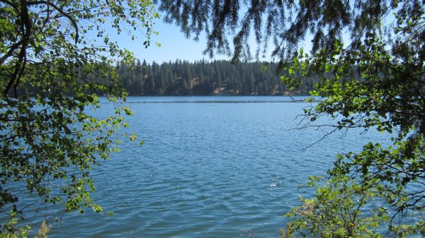 ... untroubled and uninterrupted peace ... 