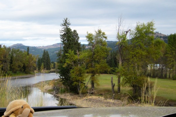 How about a river view??