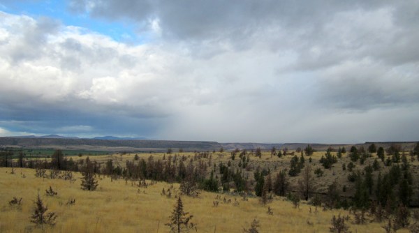 Watch the weather change ...