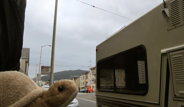 Interesting view ...