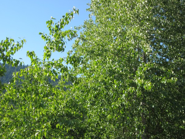 Hear the rustling ... wakey wakey!