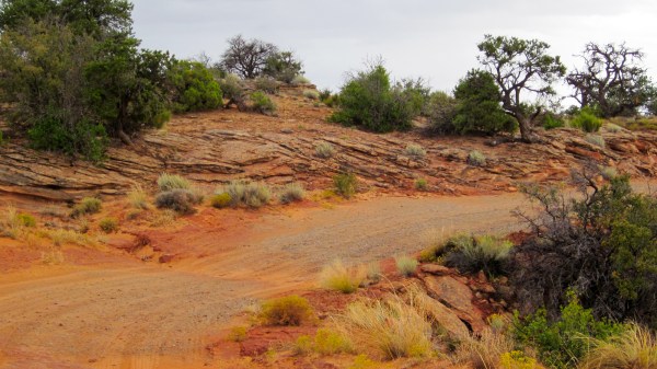 Sketchy road though ...