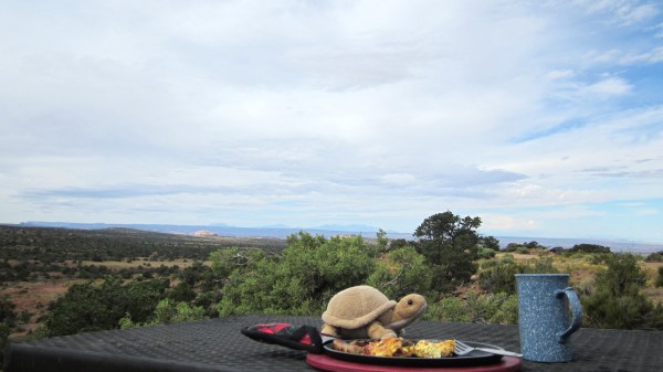 Breakfast is served ... piping hot!